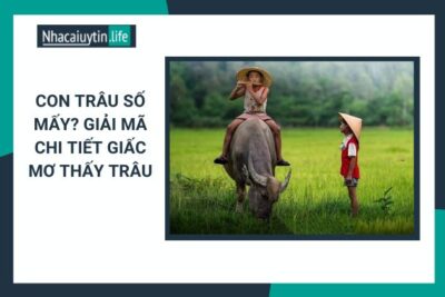 Mơ Thấy Trâu Là Điềm Lành Hay Dữ? Đánh Số Mấy?