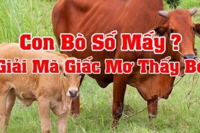 [Giải Mã] Mơ Thấy Con Bò – Điềm Báo “Siêu Chính Xác”