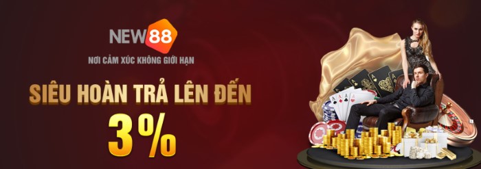 Tổng quan những thông tin về nhà cái New88 