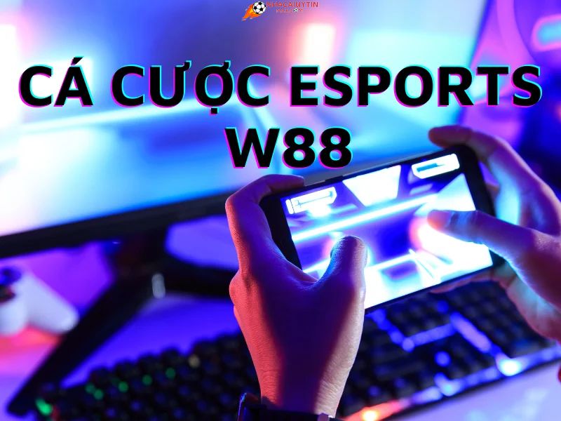 W88 - Cá cược Esprots hoàn trả không giới hạn